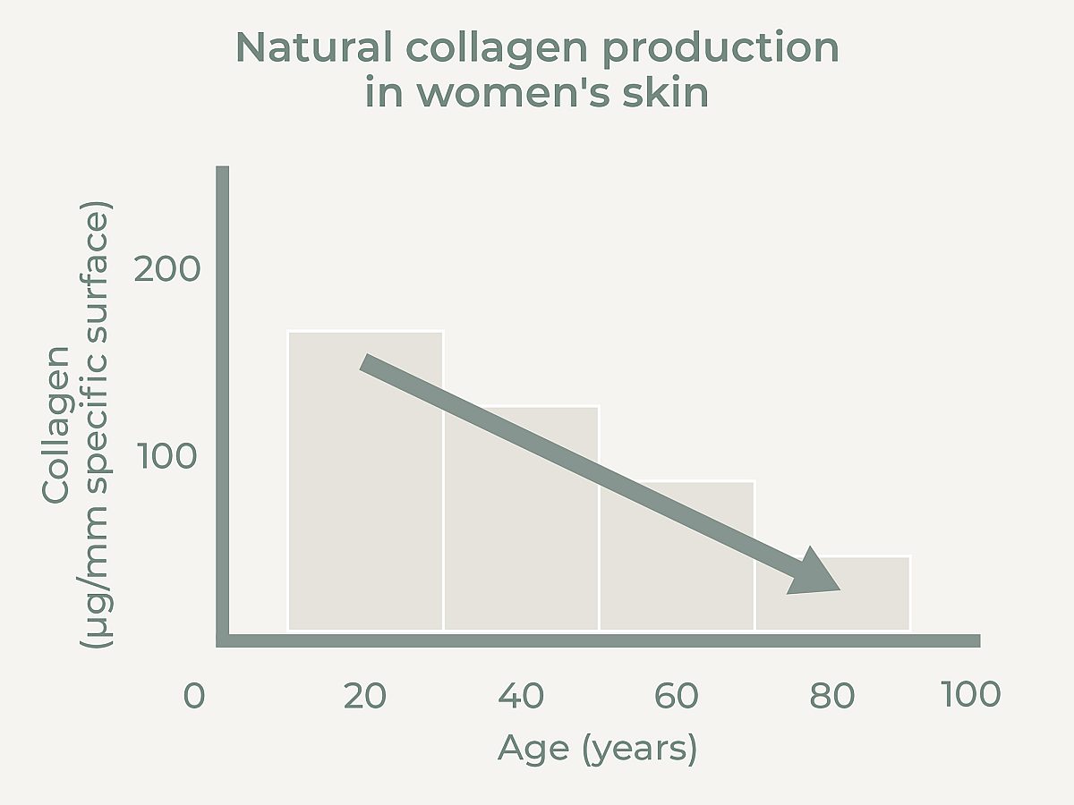 Graphic illustration of collagen production in the skin of women with increasing age