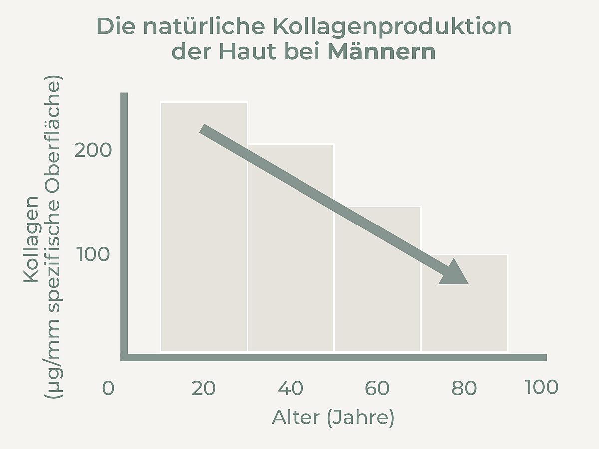 graphische Darstellung der Kollagenproduktion der Haut bei Männern bei zunehmendem Alter