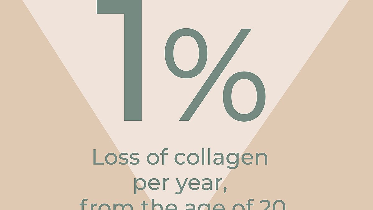 Graph of collagen loss per year from the age of 20